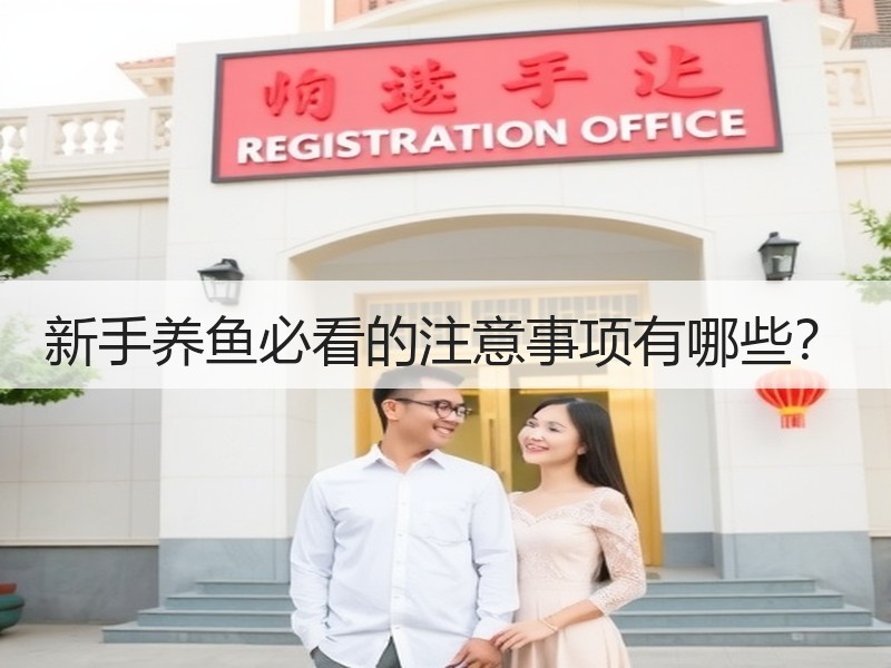 新手养鱼必看的注意事项有哪些？