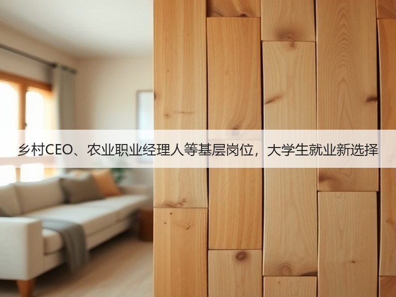 乡村CEO、农业职业经理人等基层岗位，大