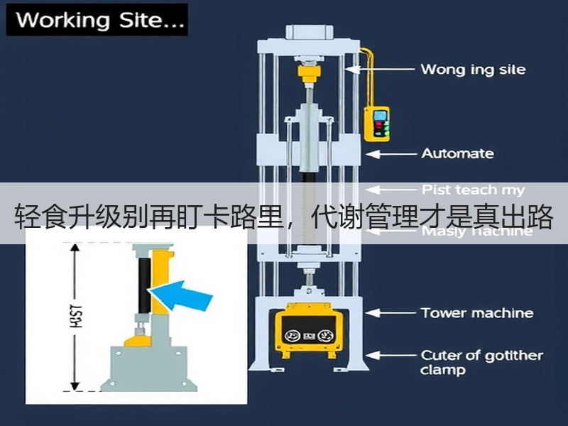 轻食升级别再盯卡路里，代谢管理才是真出路