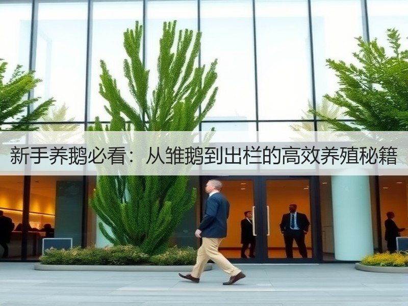 新手养鹅必看：从雏鹅到出栏的高效养殖秘籍