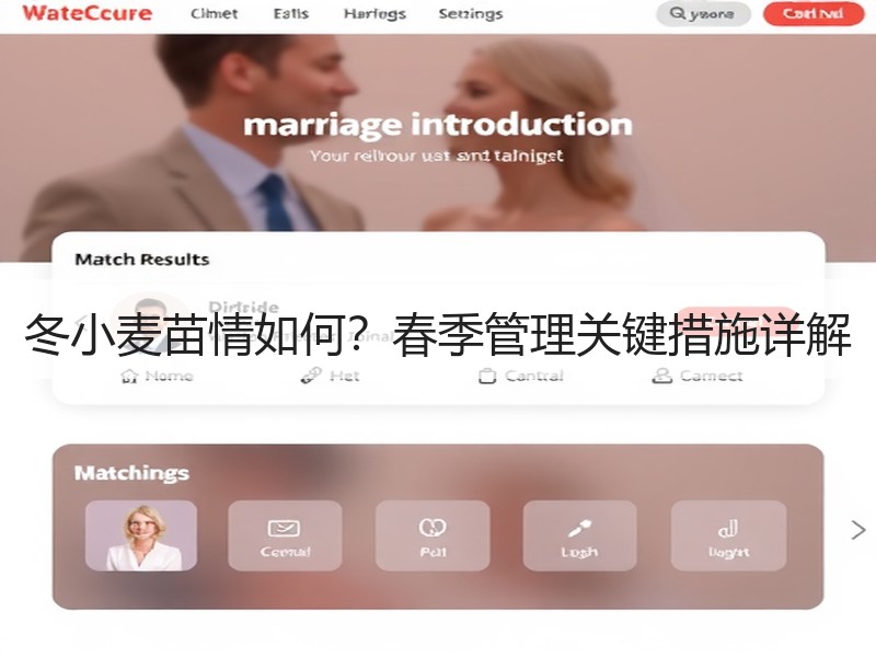 冬小麦苗情如何？春季管理关键措施详解