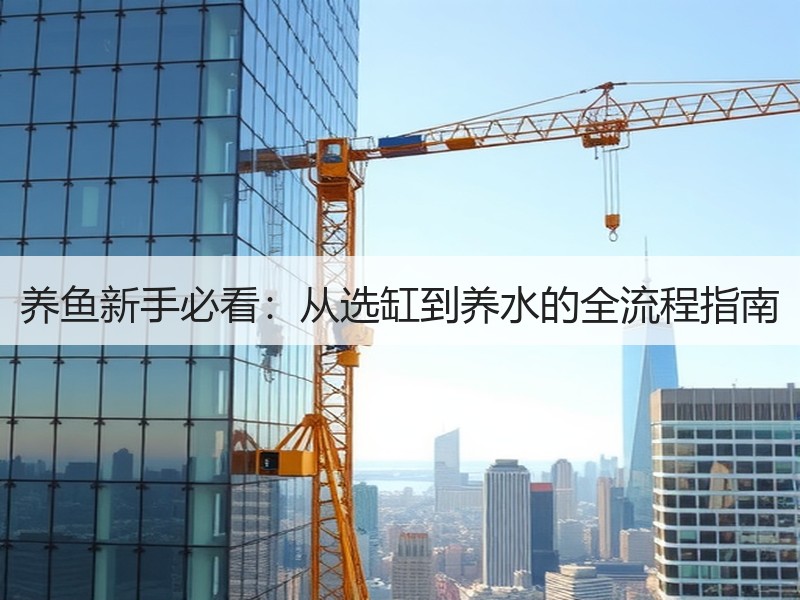 养鱼新手必看：从选缸到养水的全流程指南