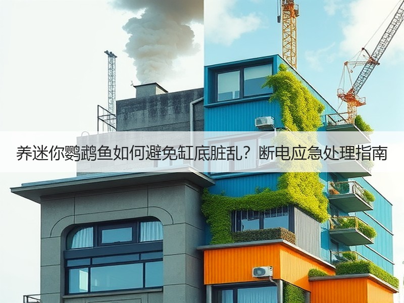 养迷你鹦鹉鱼如何避免缸底脏乱？断电应急处