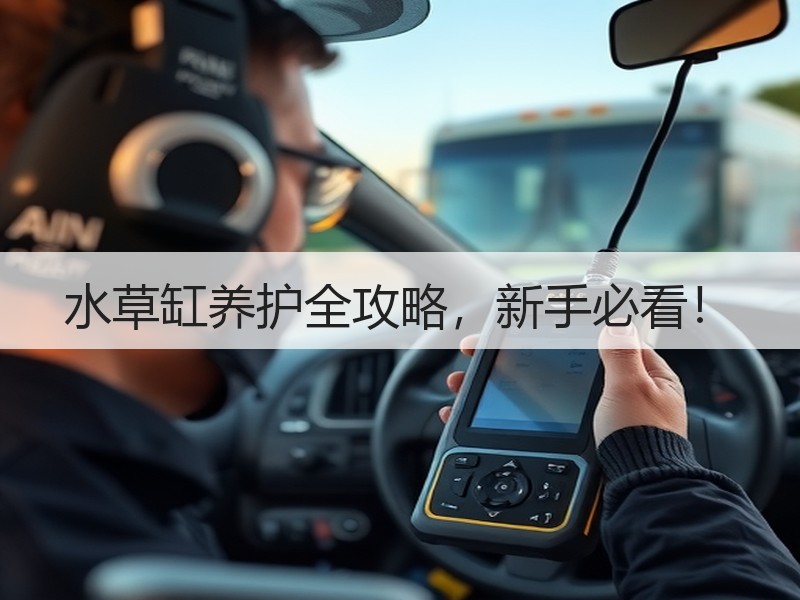 水草缸养护全攻略，新手必看！