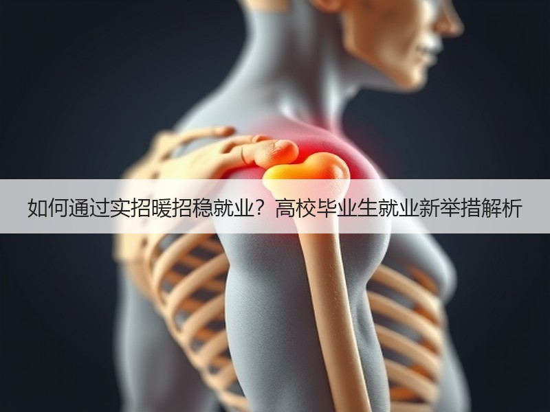 如何通过实招暖招稳就业？高校毕业生就业新