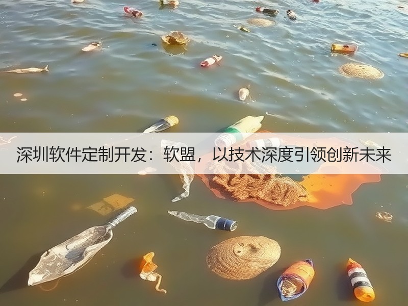 深圳软件定制开发：软盟，以技术深度引领创