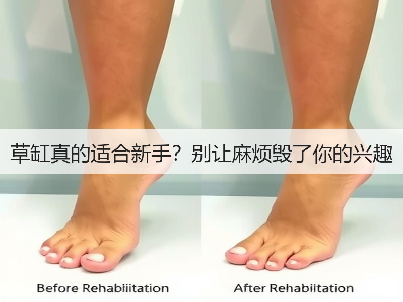 草缸真的适合新手？别让麻烦毁了你的兴趣