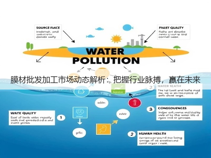 膜材批发加工市场动态解析：把握行业脉搏，