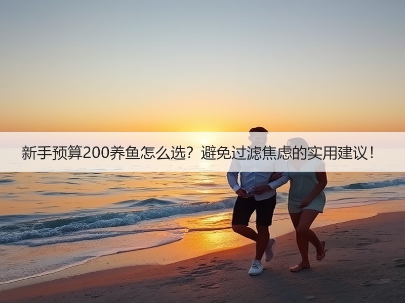 新手预算200养鱼怎么选？避免过滤焦虑的