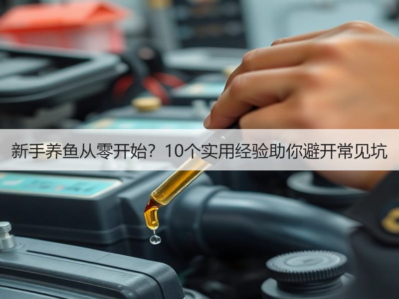 新手养鱼从零开始？10个实用经验助你避开