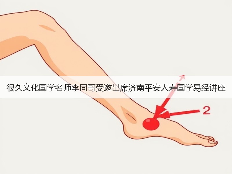 很久文化国学名师李同哥受邀出席济南平安人