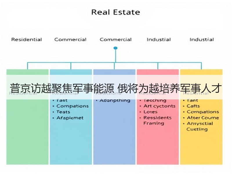 普京访越聚焦军事能源 俄将为越培养军事人