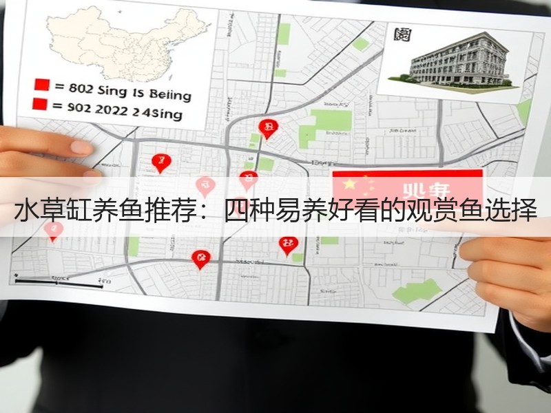 水草缸养鱼推荐：四种易养好看的观赏鱼选择