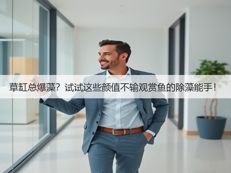 草缸总爆藻？试试这些颜值不输观赏鱼的除藻