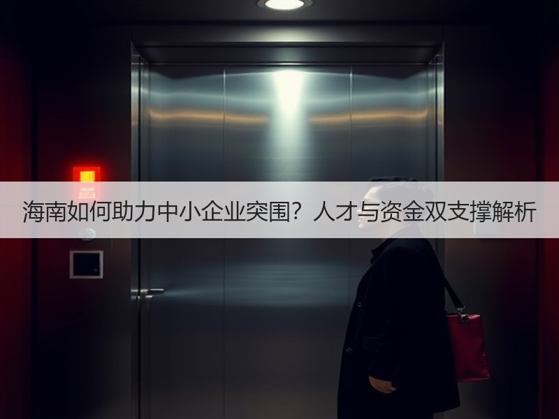 海南如何助力中小企业突围？人才与资金双支