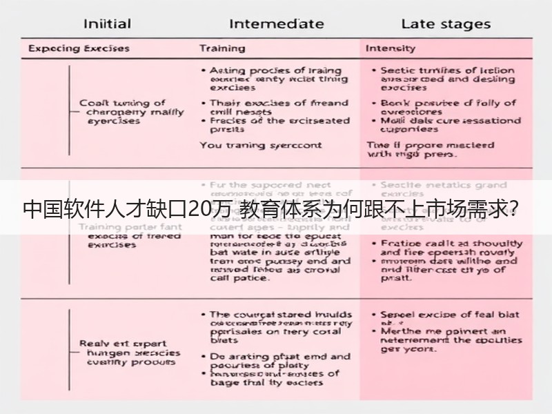 中国软件人才缺口20万 教育体系为何跟不