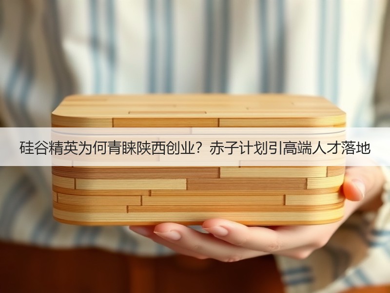 硅谷精英为何青睐陕西创业？赤子计划引高端