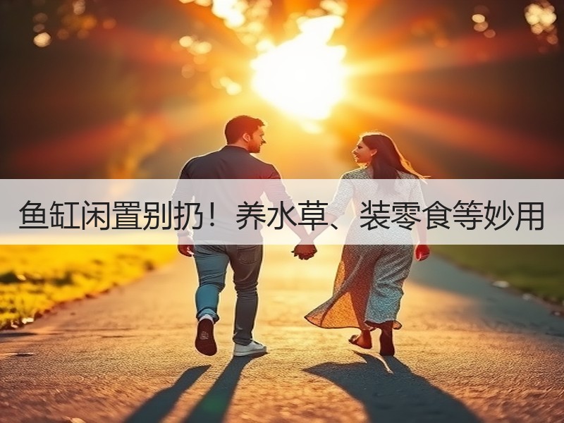 鱼缸闲置别扔！养水草、装零食等妙用