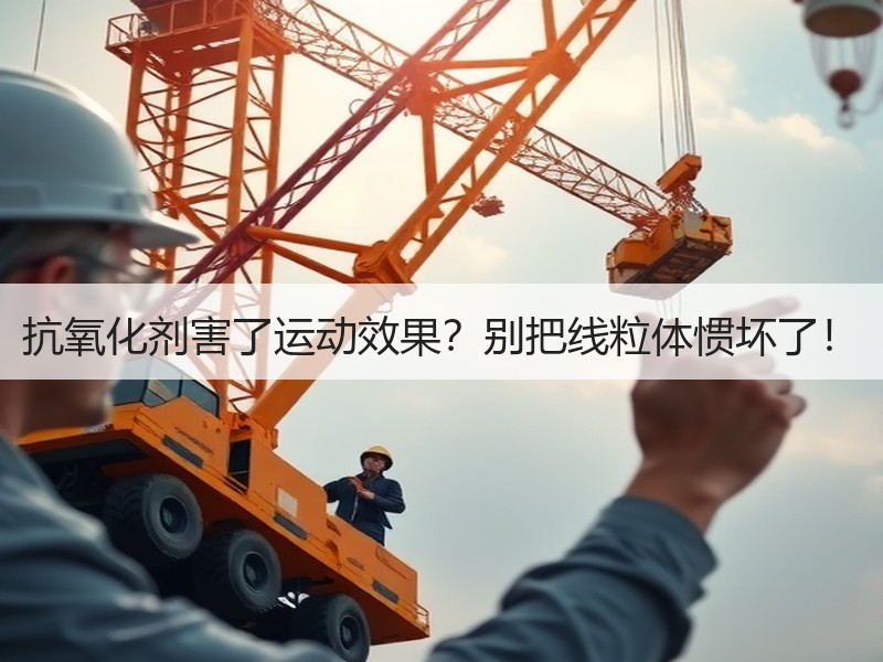 抗氧化剂害了运动效果？别把线粒体惯坏了！