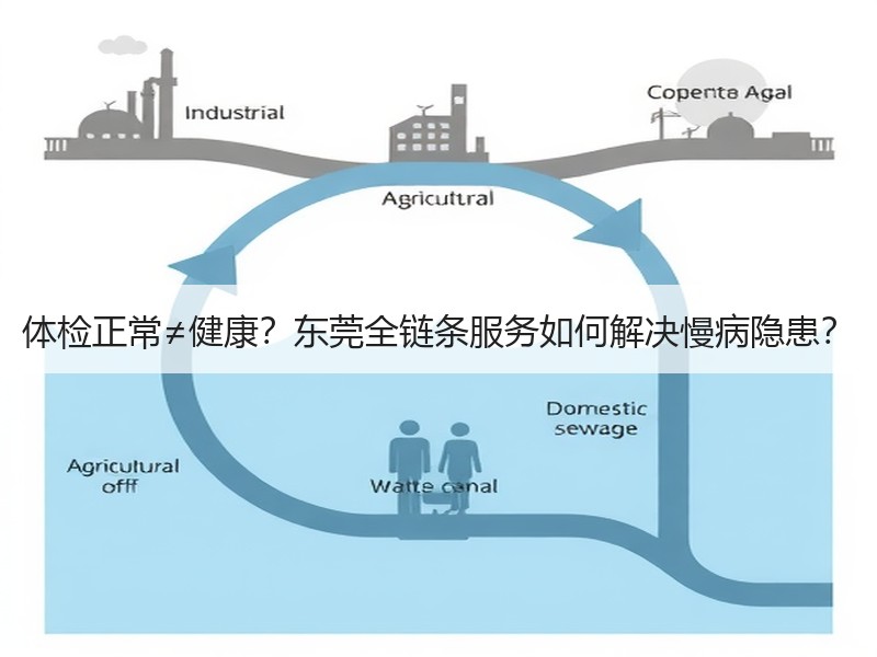 体检正常≠健康？东莞全链条服务如何解决慢