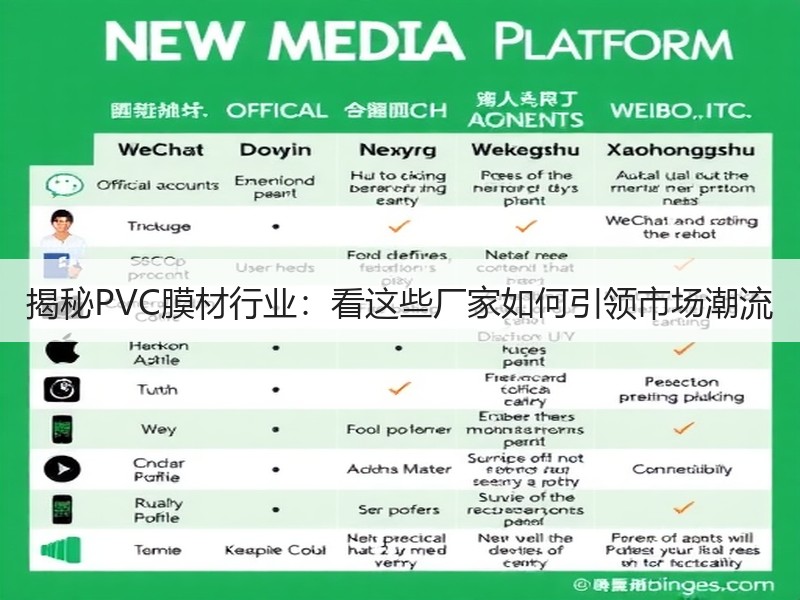 揭秘PVC膜材行业：看这些厂家如何引领市