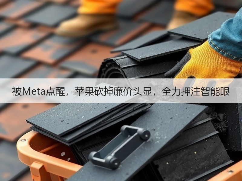 被Meta点醒，苹果砍掉廉价头显，全力押