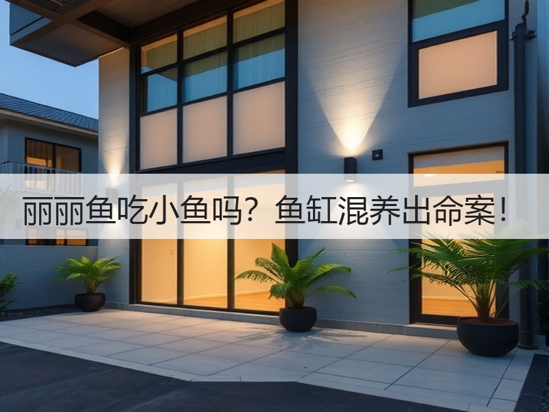 丽丽鱼吃小鱼吗？鱼缸混养出命案！