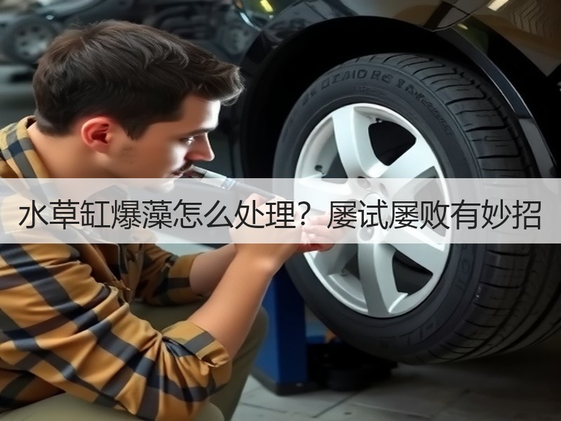 水草缸爆藻怎么处理？屡试屡败有妙招