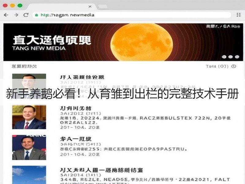 新手养鹅必看！从育雏到出栏的完整技术手册