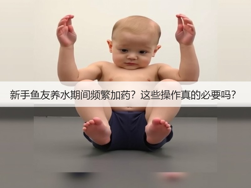 新手鱼友养水期间频繁加药？这些操作真的必