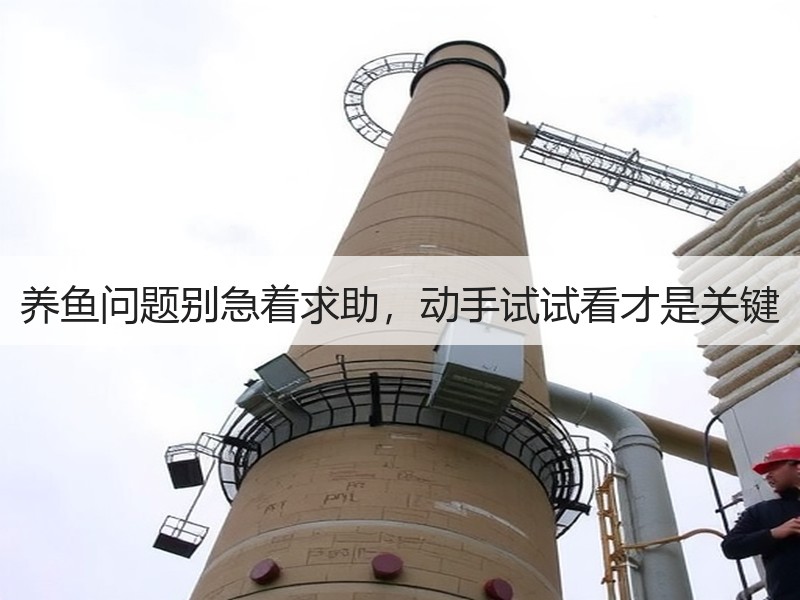 养鱼问题别急着求助，动手试试看才是关键
