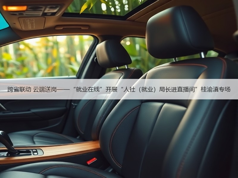 跨省联动 云端送岗——“就业在线”开展“