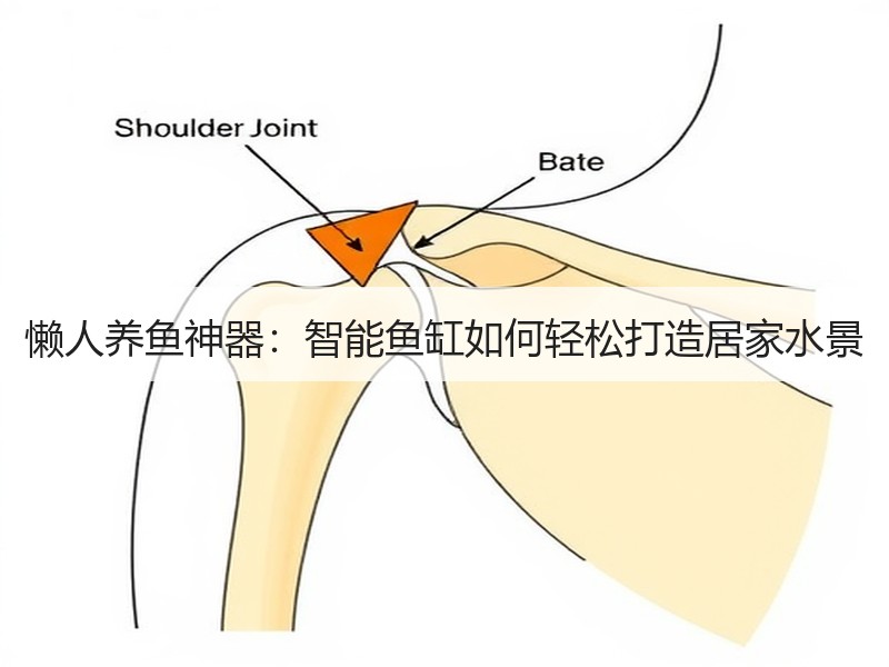 懒人养鱼神器：智能鱼缸如何轻松打造居家水