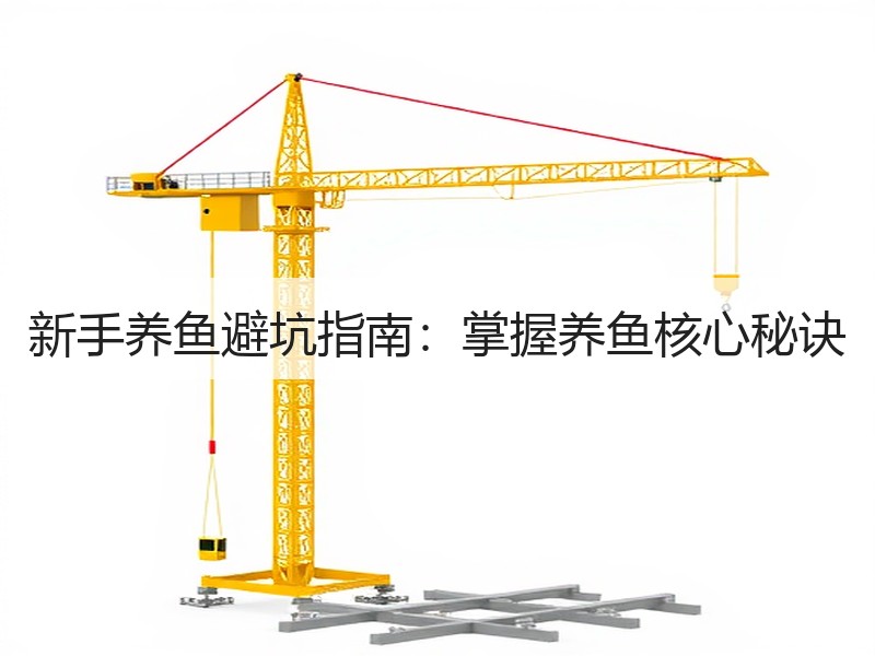 新手养鱼避坑指南：掌握养鱼核心秘诀