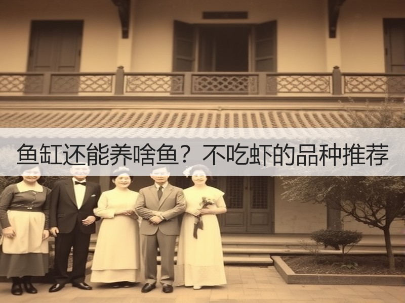 鱼缸还能养啥鱼？不吃虾的品种推荐