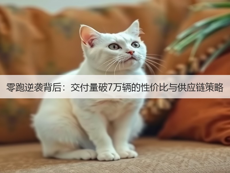 零跑逆袭背后：交付量破7万辆的性价比与供
