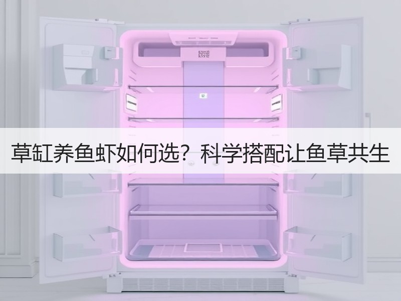 草缸养鱼虾如何选？科学搭配让鱼草共生