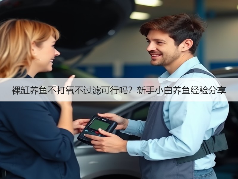 裸缸养鱼不打氧不过滤可行吗？新手小白养鱼