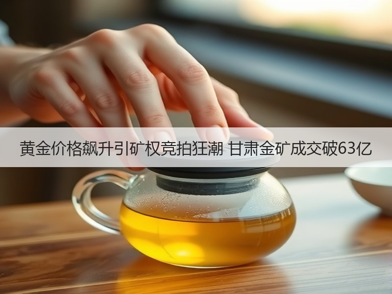 黄金价格飙升引矿权竞拍狂潮 甘肃金矿成交