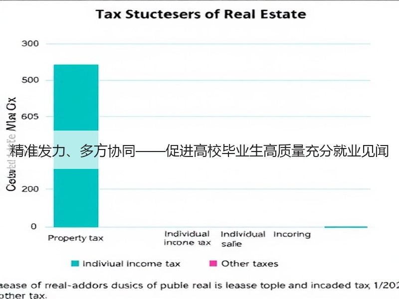 精准发力、多方协同——促进高校毕业生高质