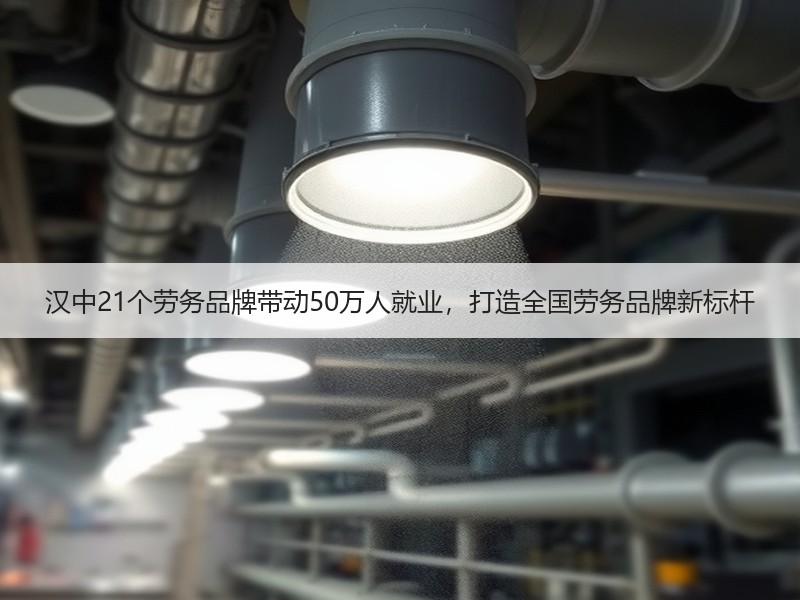 汉中21个劳务品牌带动50万人就业，打造