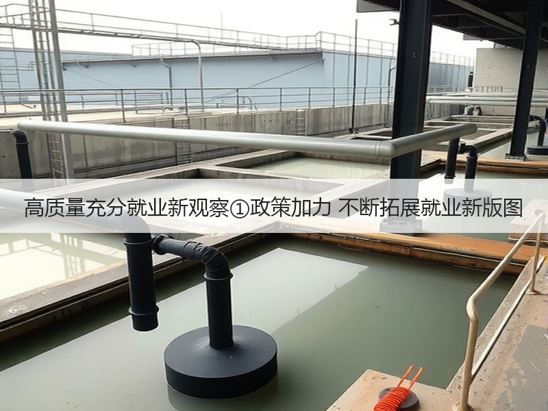 高质量充分就业新观察①政策加力 不断拓展