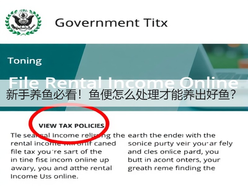 新手养鱼必看！鱼便怎么处理才能养出好鱼？