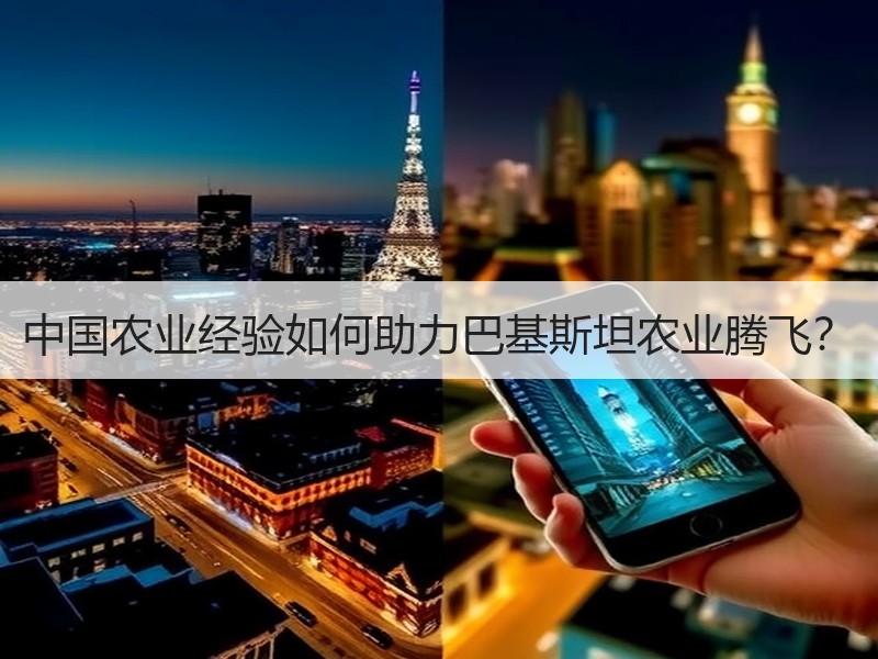 中国农业经验如何助力巴基斯坦农业腾飞？