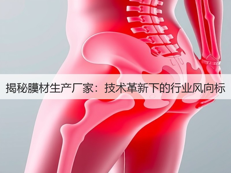 揭秘膜材生产厂家：技术革新下的行业风向标