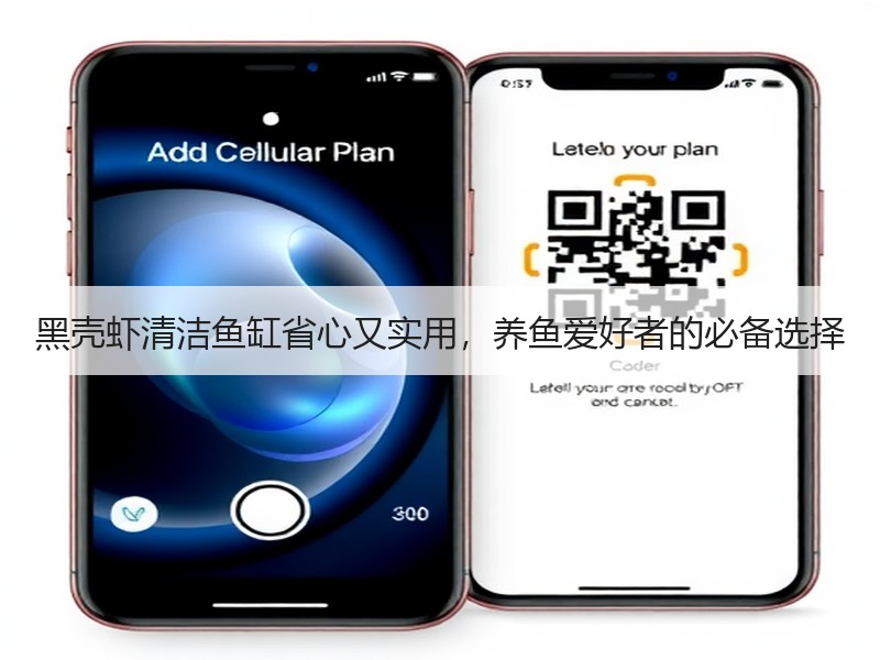黑壳虾清洁鱼缸省心又实用，养鱼爱好者的必