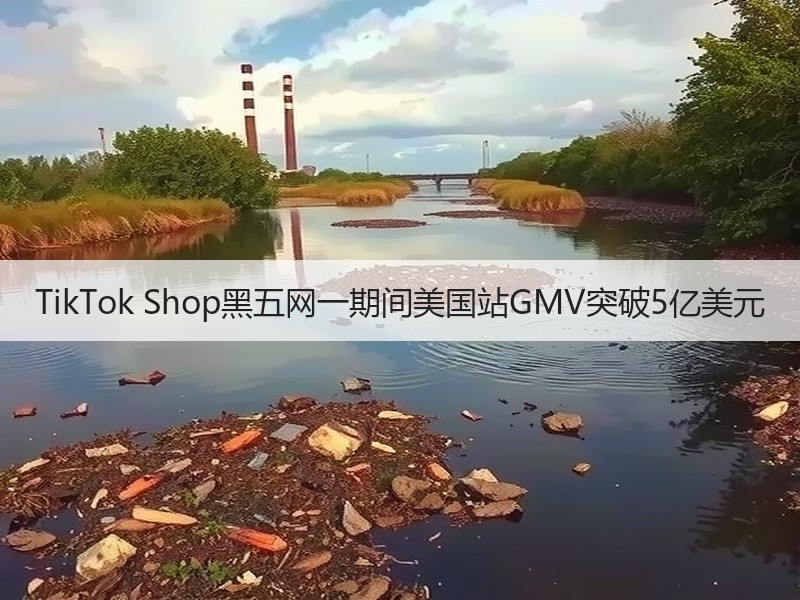 TikTok Shop黑五网一期间美国站