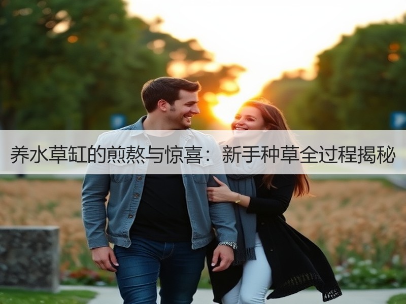养水草缸的煎熬与惊喜：新手种草全过程揭秘