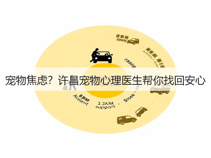 宠物焦虑？许昌宠物心理医生帮你找回安心