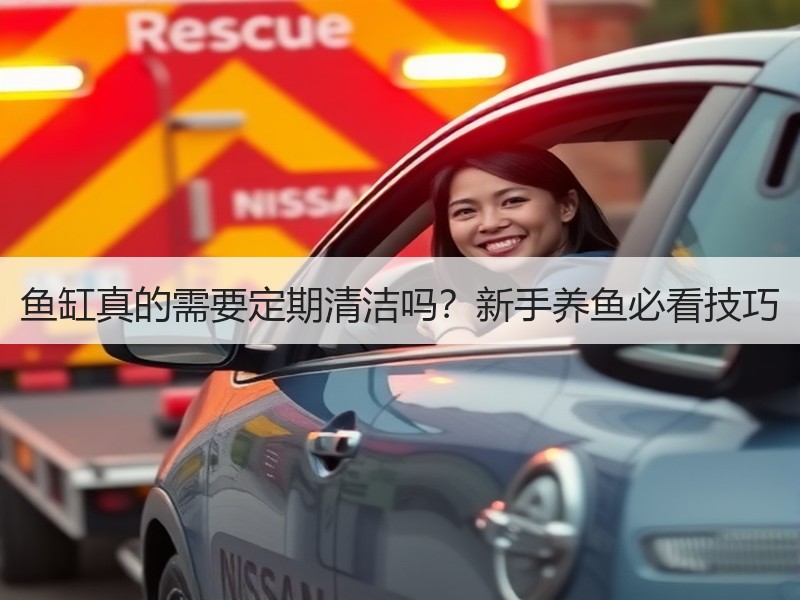 鱼缸真的需要定期清洁吗？新手养鱼必看技巧